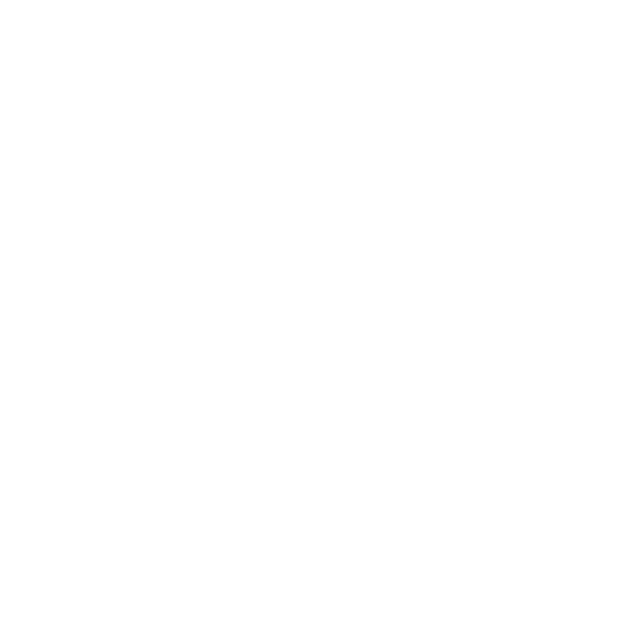 Riner group logo 02